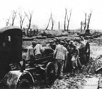 Building the Krupp Factory